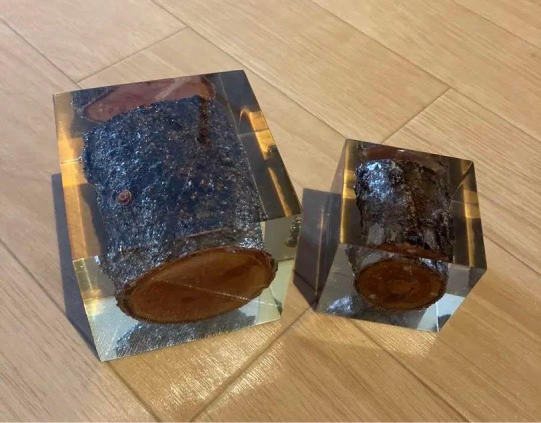 DETAIL Resin With WOOD INSIDE ペーパーウェイト - WWW